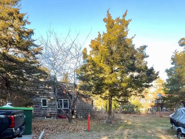 a view of a big yard with plants and large trees