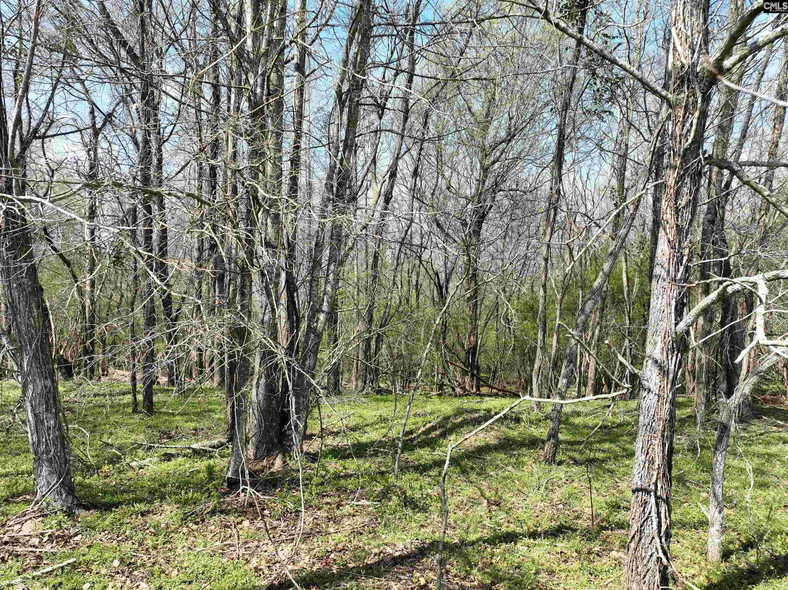 0 Dr Boylston Road Salley, SC 29137 - Photo 24 of 41