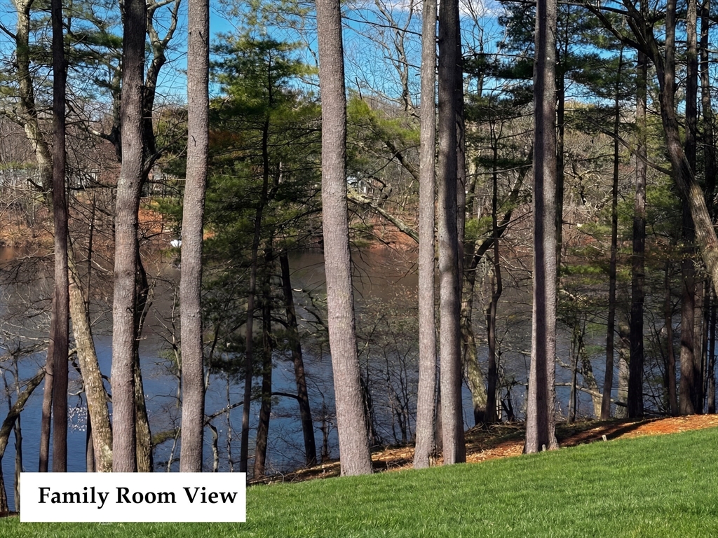 31 Arcadia Road Natick, MA 01760 - Photo 8 of 20