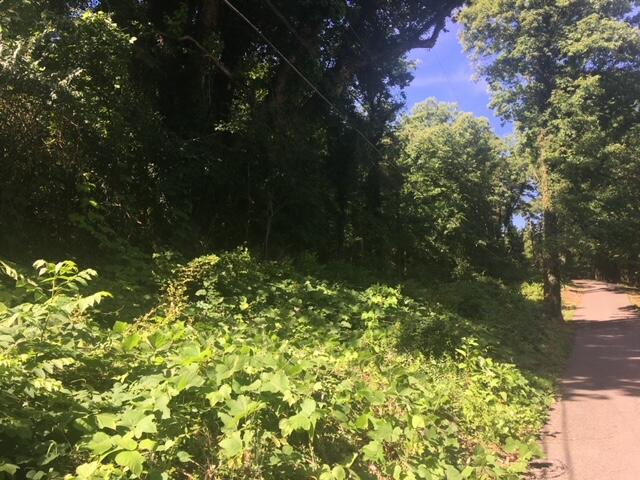 Peltier Road Knoxville, TN 37912 - Photo 2 of 4 IMG_9419