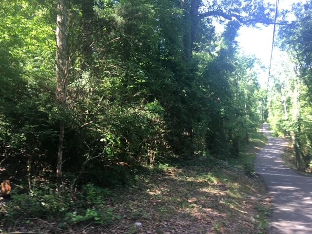Peltier Road Knoxville, TN 37912 - Photo 3 of 4 IMG_9418