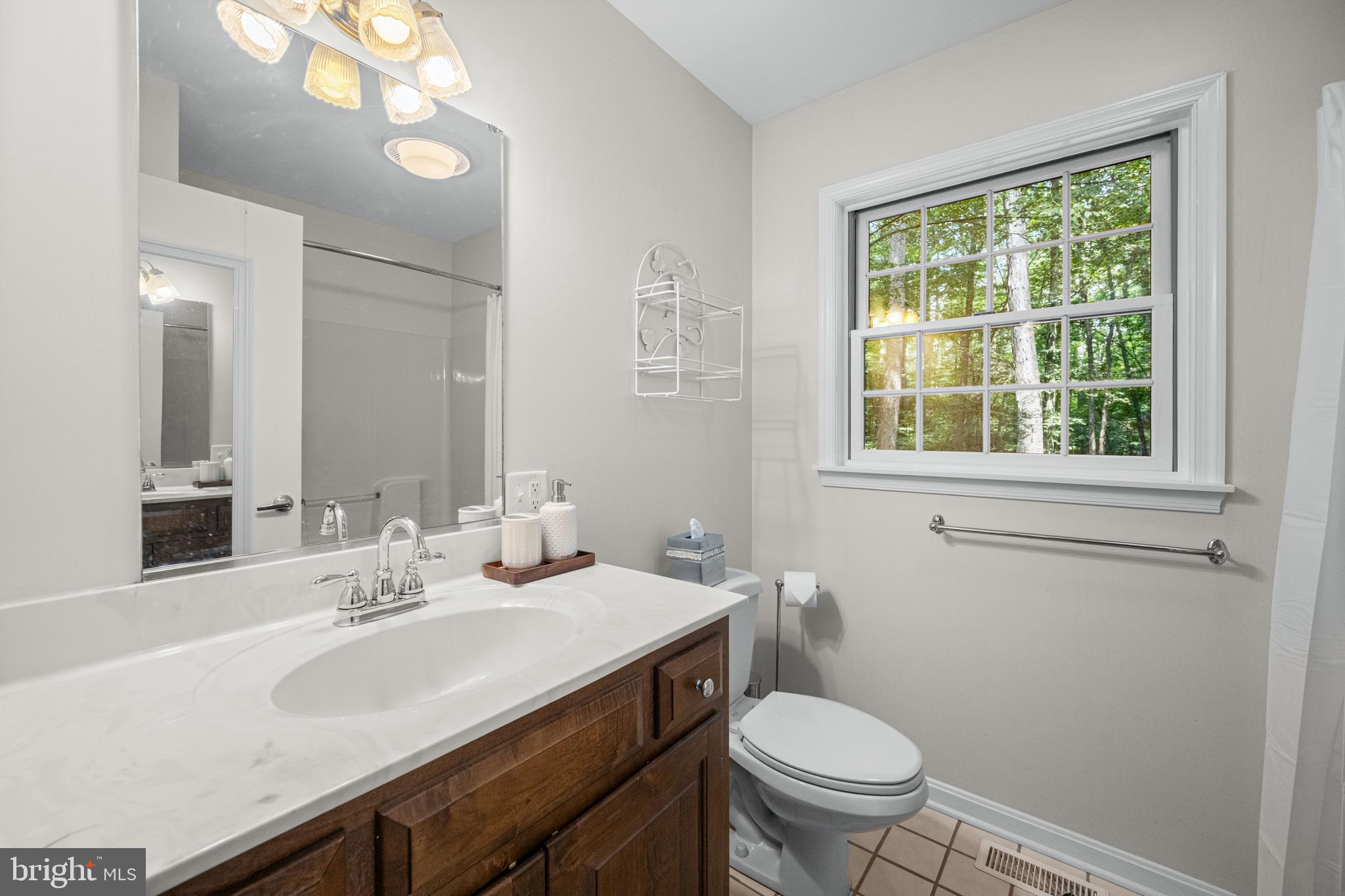 1160 Mt Hope Road Fairfield, PA 17320 - Photo 29 of 34 a bathroom with a sink toilet and a mirror