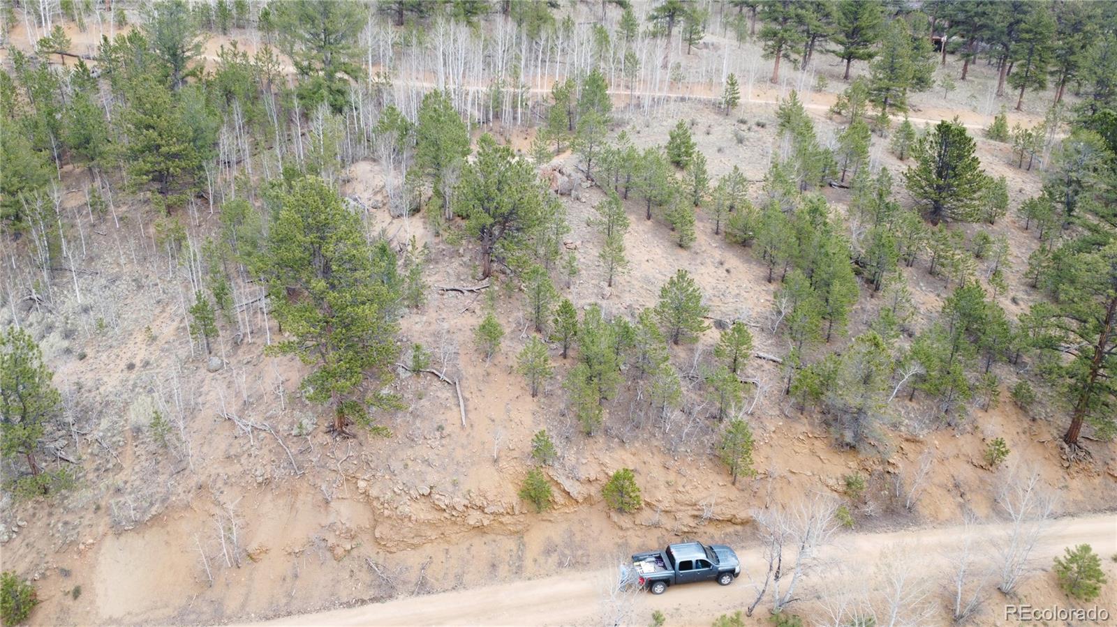 381 Neish Street Bailey, CO 80421 - Photo 1 of 13 a view of a yard