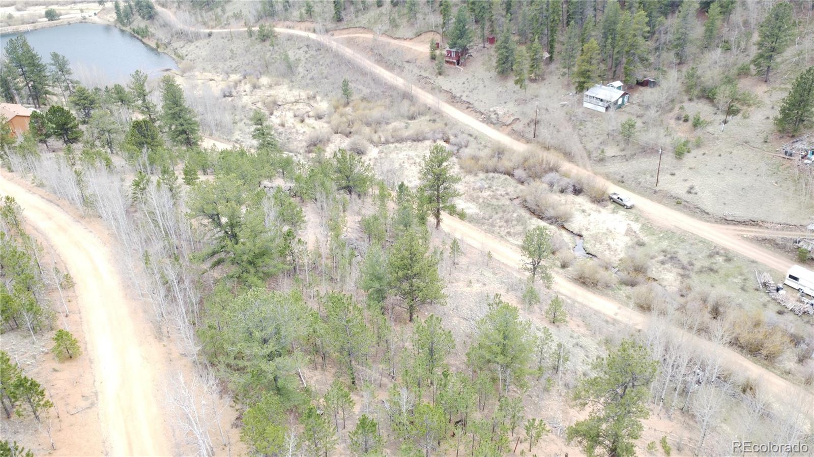 381 Neish Street Bailey, CO 80421 - Photo 13 of 13 a close up of a plant in a yard