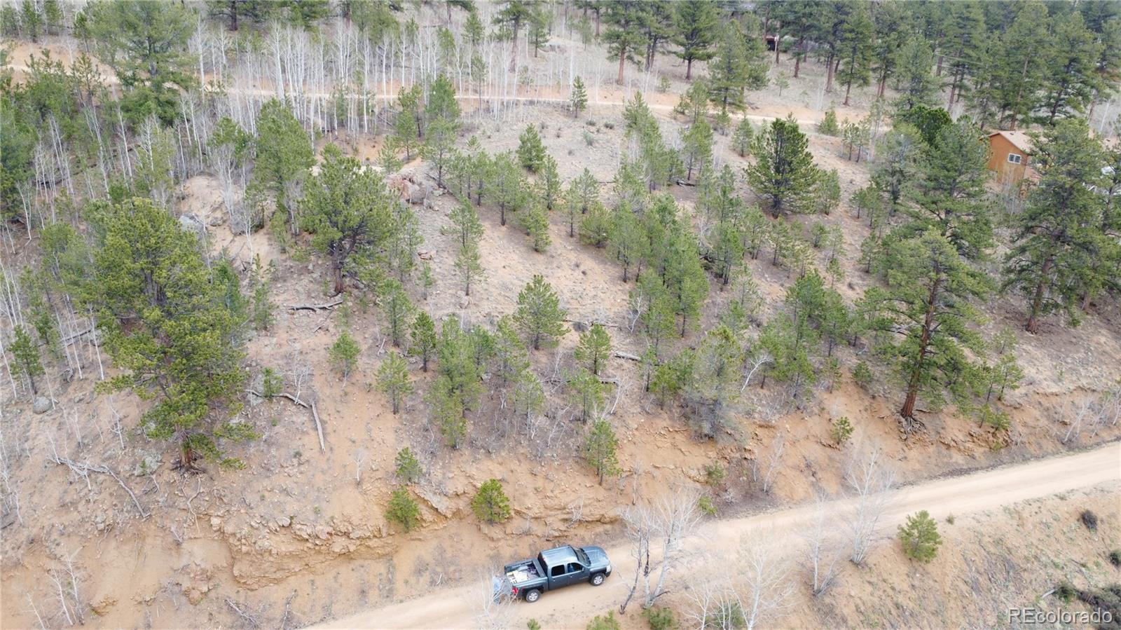 381 Neish Street Bailey, CO 80421 - Photo 2 of 13 a view of a yard with a tree