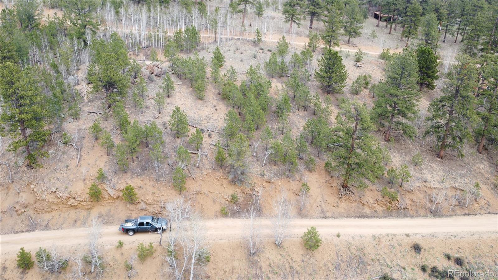 381 Neish Street Bailey, CO 80421 - Photo 3 of 13 a view of a yard with tall trees