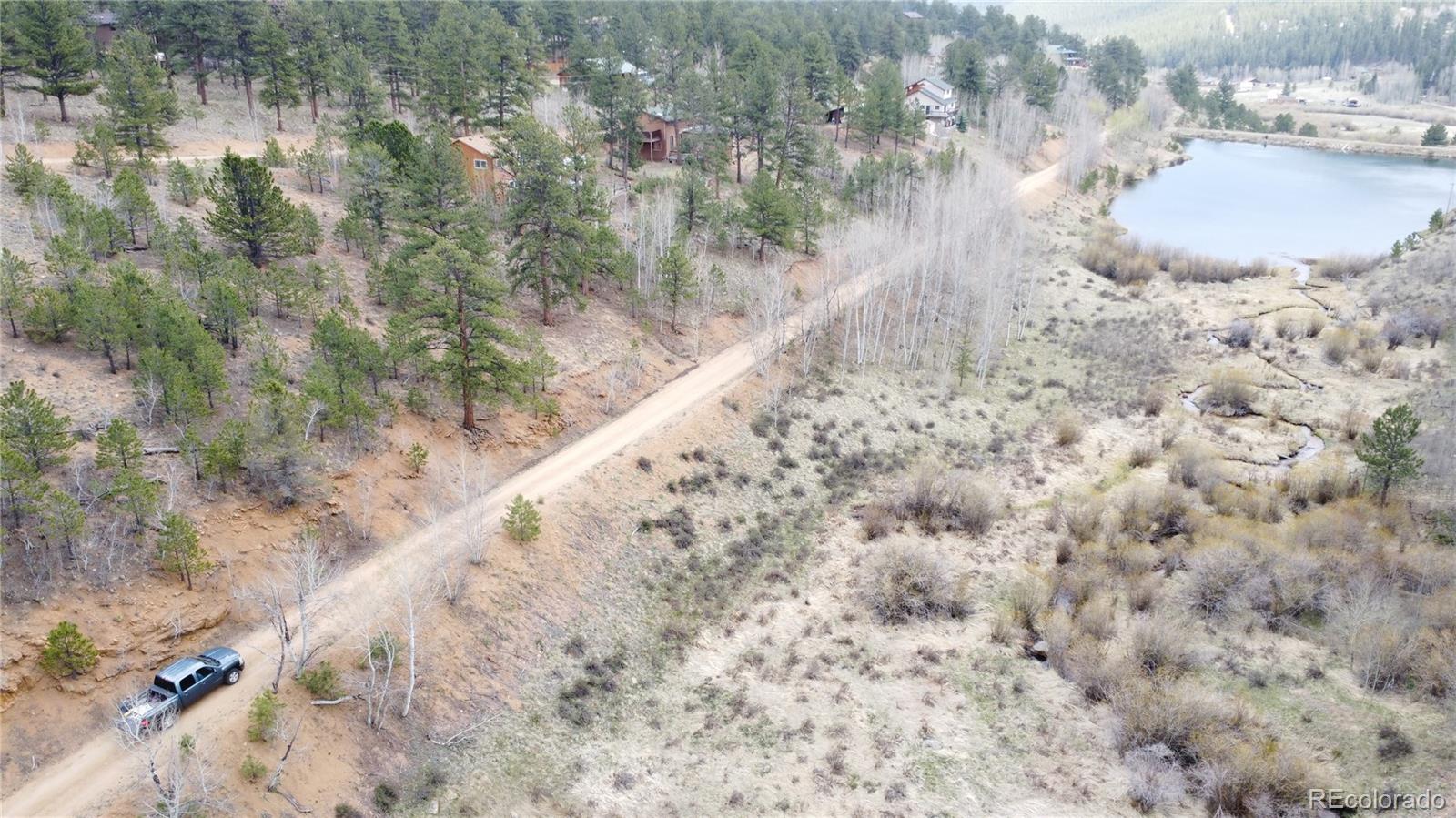 381 Neish Street Bailey, CO 80421 - Photo 6 of 13 a view of a dry yard with trees in the background