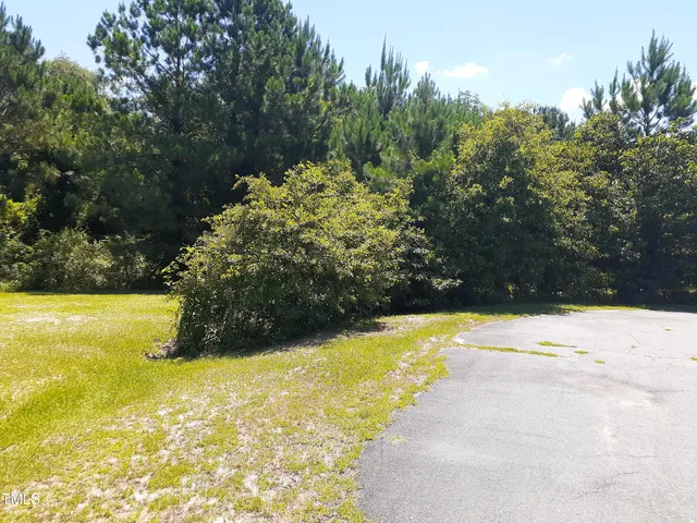 $45,000 | 205 Springside Drive, Seven Springs, NC 28578