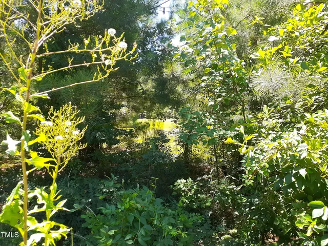 $45,000 | 205 Springside Drive, Seven Springs, NC 28578