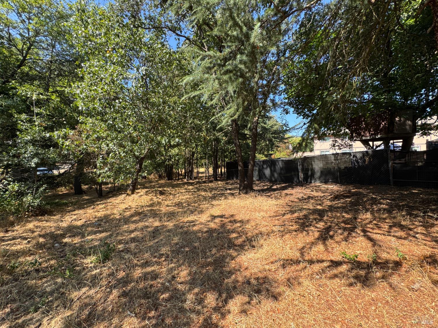 2140 South State Street Ukiah, CA 95482 - Photo 26 of 67 a backyard of a house with a trees