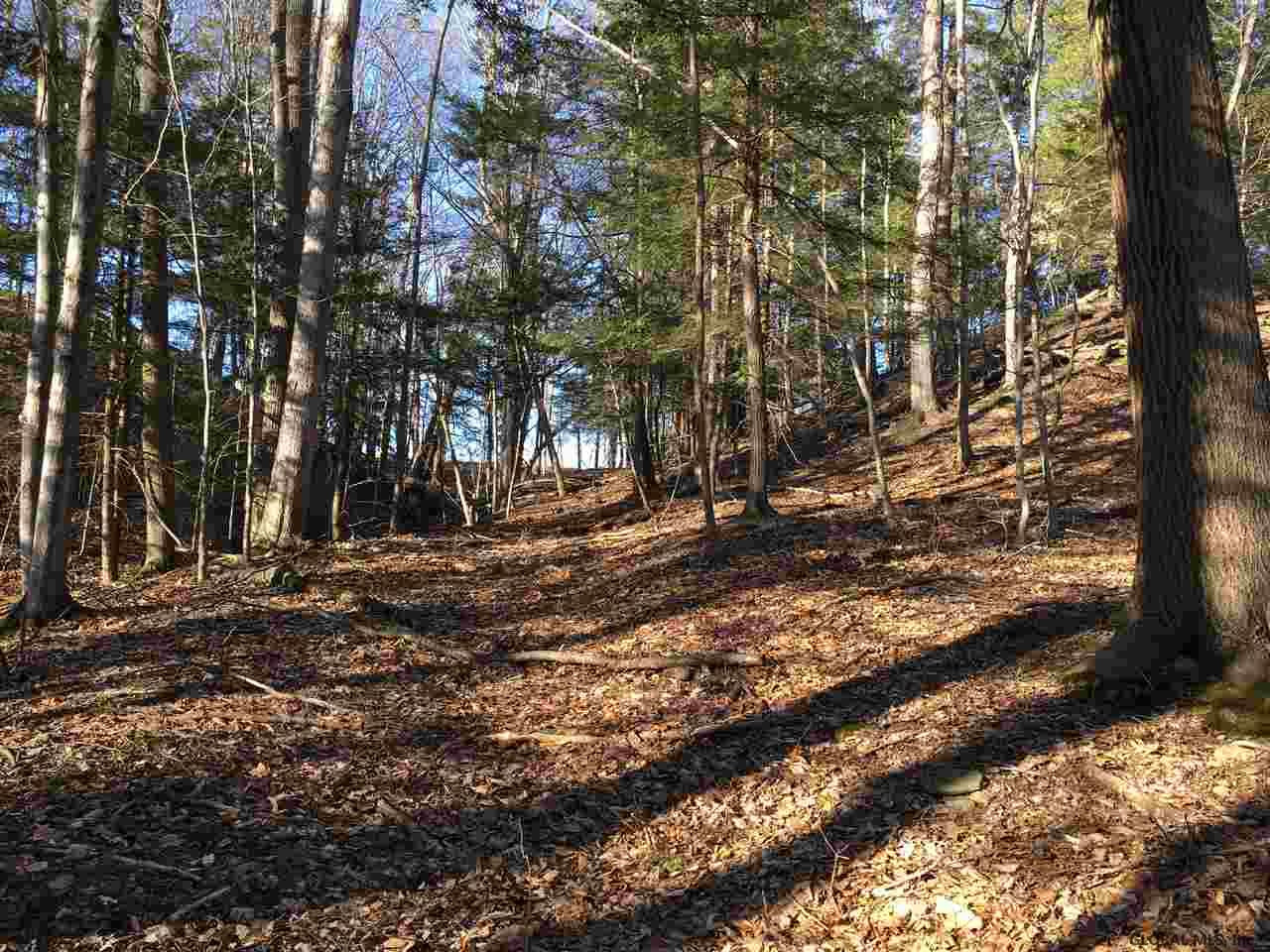 6 Colby Road Schoharie, NY 12157 - Photo 8 of 10 Photo 8
