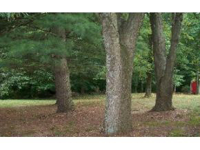 4625 Happy Hollow Road Bloomington, IN 47408 - Photo 6 of 7 Gallery Image 6