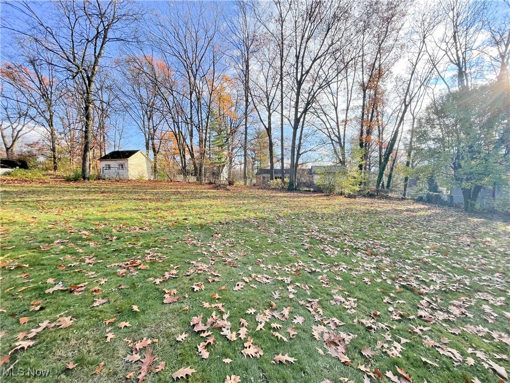 4949 East Radio Road Youngstown, OH 44515 - Photo 34 of 37 View of yard
