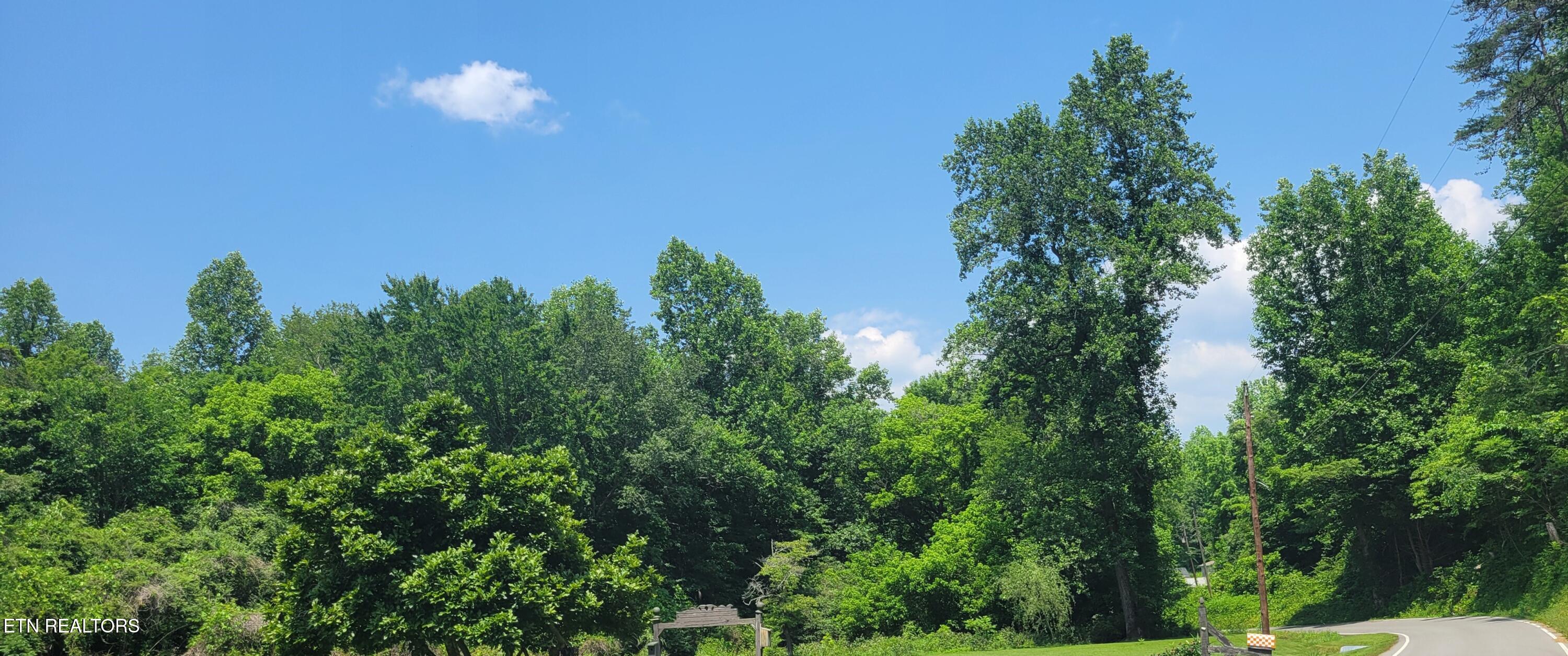 Unicoi Church Road Tellico Plains, TN 37385 - Photo 3 of 7 1000016722