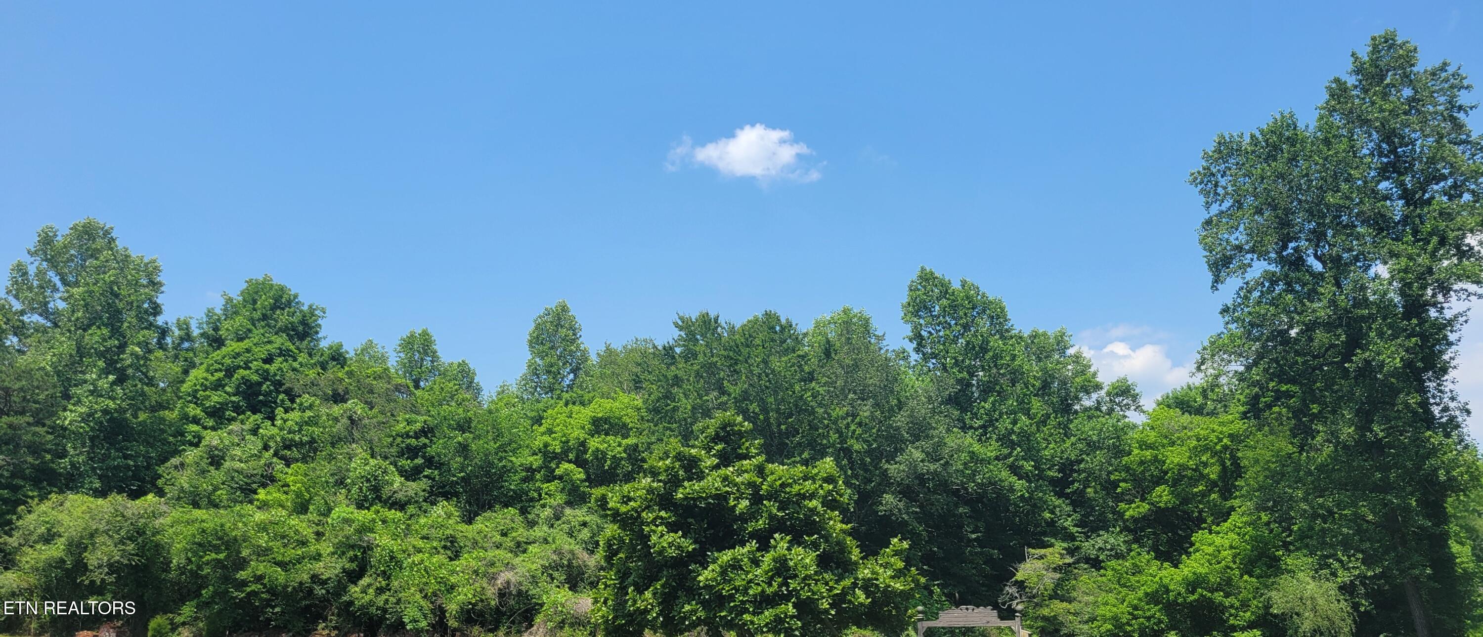 Unicoi Church Road Tellico Plains, TN 37385 - Photo 7 of 7 1000016721