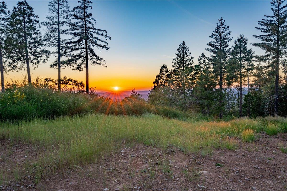 3280 Chipmunk Trail Georgetown, CA 95634 - Photo 1 of 35 Gallery Image 1