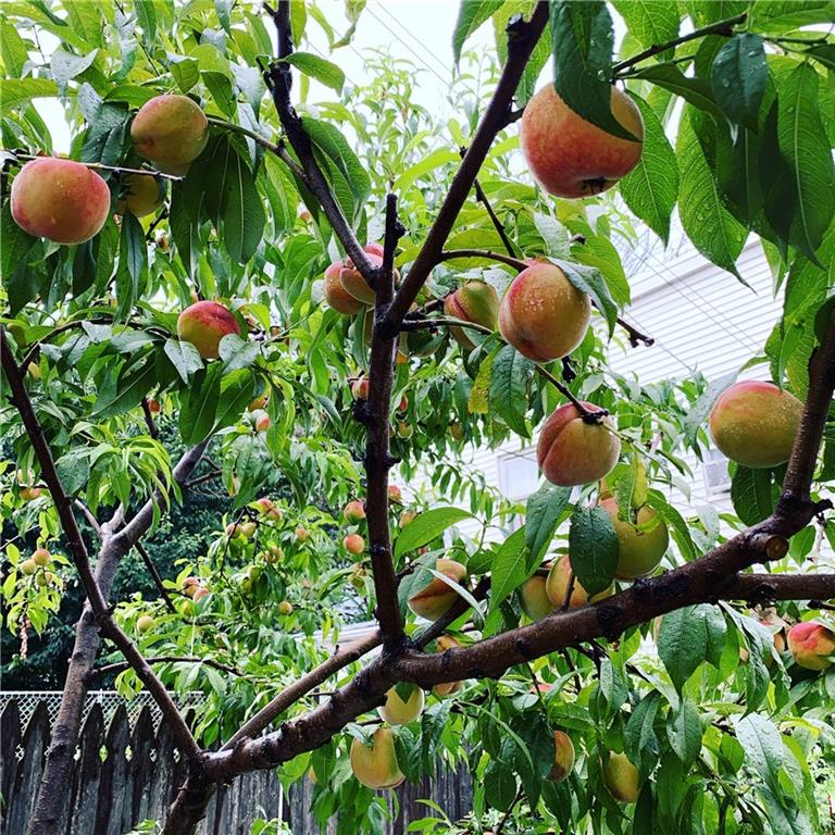 337 21st Street Brooklyn, NY 11215 - Photo 38 of 50