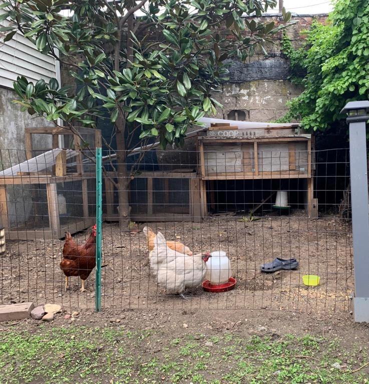 337 21st Street Brooklyn, NY 11215 - Photo 46 of 50