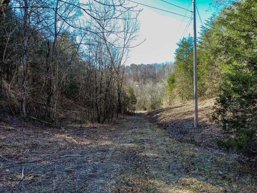 406 Clearwood Road Newport, TN 37821 - Photo 8 of 33 Gallery Image 8