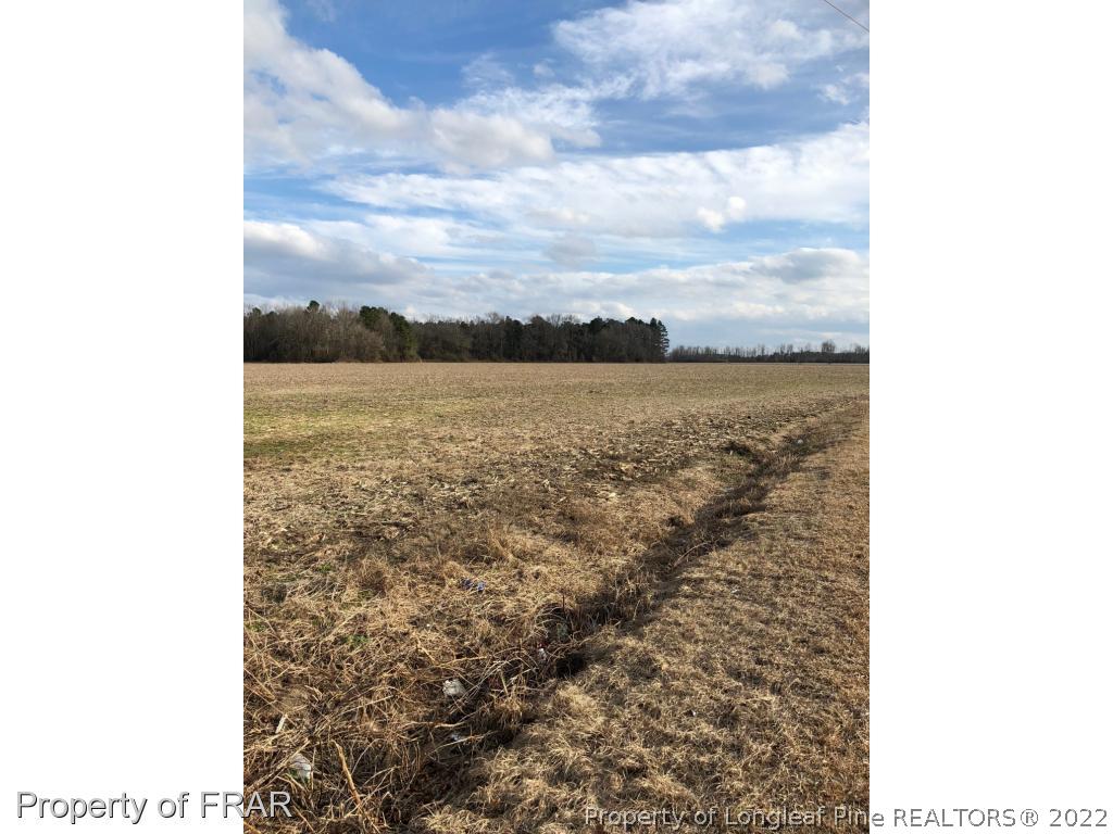 Rozier Church Rd Street Lumberton, NC 28360 - Photo 2 of 2 Gallery Image 2