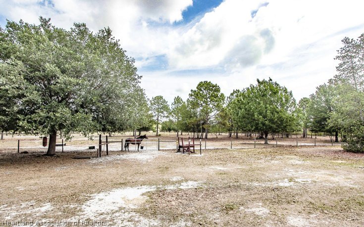 3953 Raccoon Road Zolfo Springs, FL 33890 - Photo 4 of 15 Gallery Image 4