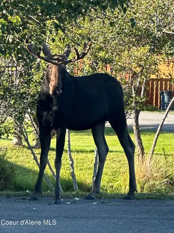 $349,900 | 3 Elsie Peak Court, Unit 3, Pinehurst, ID 83850