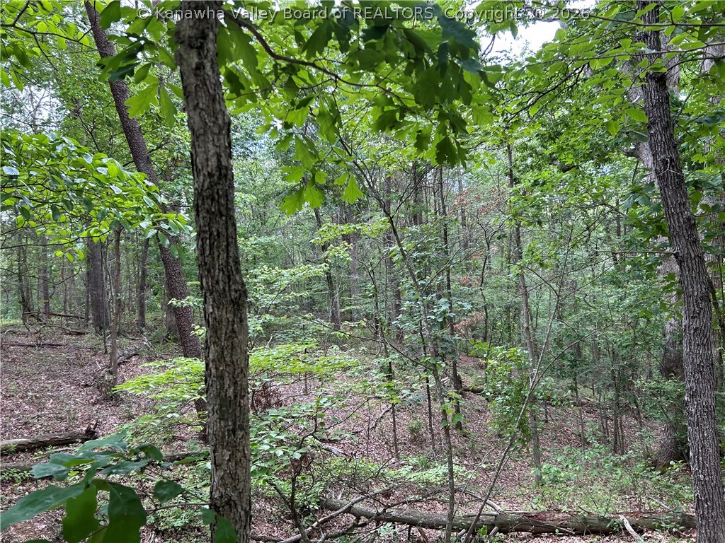 0 Evergreen Road Fraziers Bottom, WV 25082 - Photo 18 of 18 Gallery Image 18