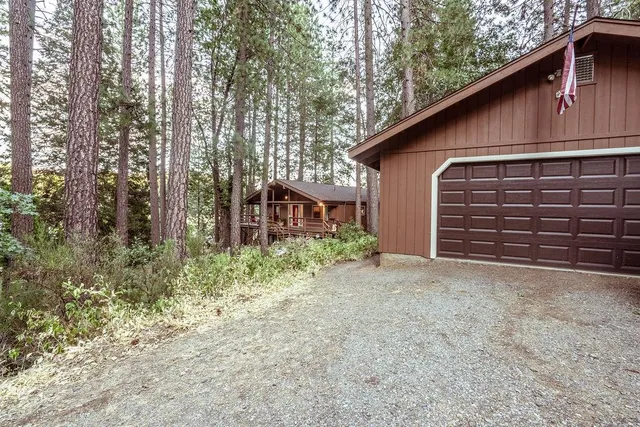 a view of a forest filled with trees