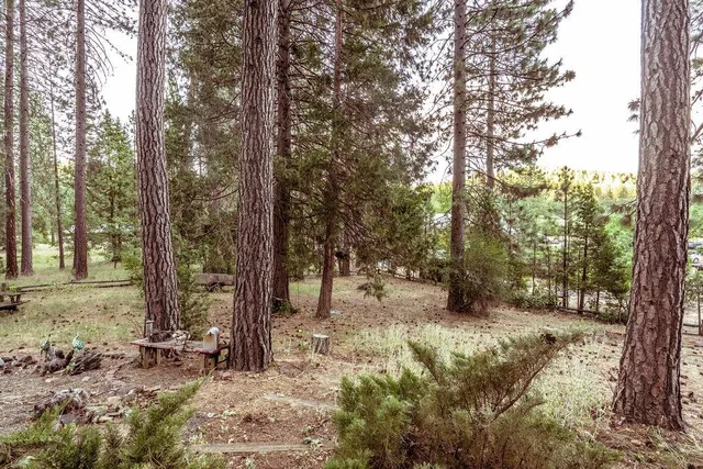 a view of a wooden house with a yard and large trees