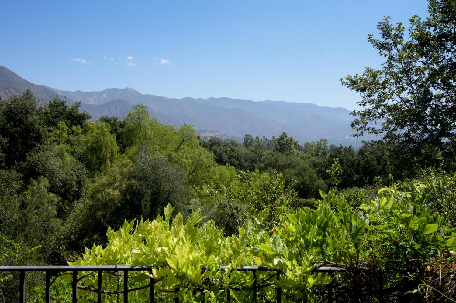 520 Foothill Road Ojai, CA 93023 - Photo 28 of 45 a view of a city with lush green forest
