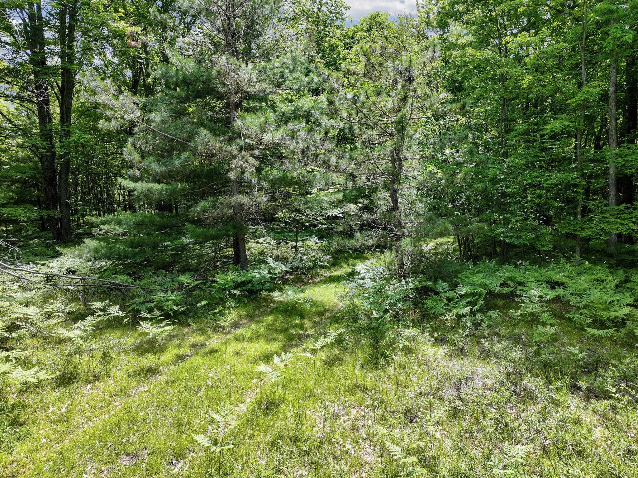 Parcel B Seeley Road Cadillac, MI 49651 - Photo 11 of 17