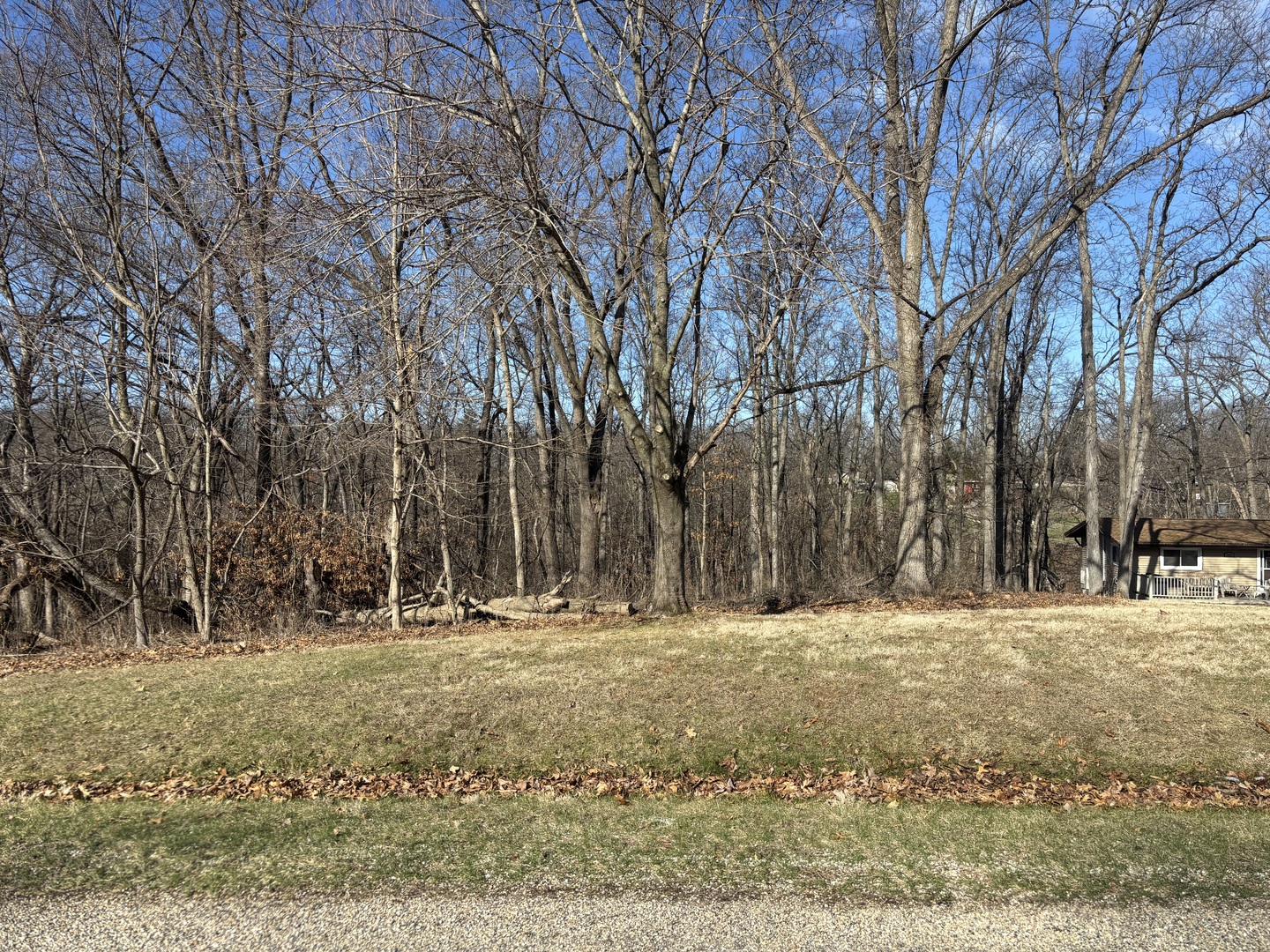 1668 Lakeside Court Varna, IL 61375 - Photo 1 of 4 a yard with trees in the background