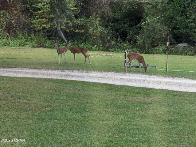 $230,000 | 7031 Hamilton Road, Grand Ridge, FL 32442