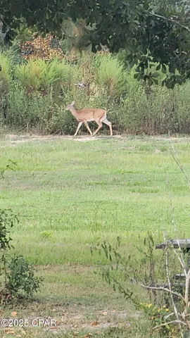 $230,000 | 7031 Hamilton Road, Grand Ridge, FL 32442