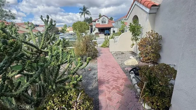 a view of a yard with plants