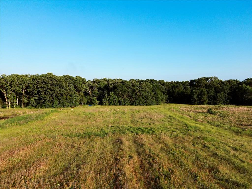 0 Double Bridge Road, Unit 2516 Mabank, TX 75156 - Photo 7 of 8 a view of a yard