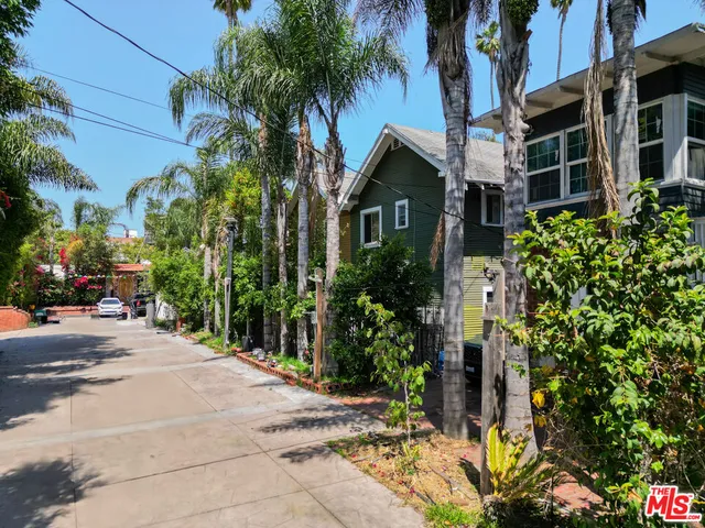 a view of a street with plants