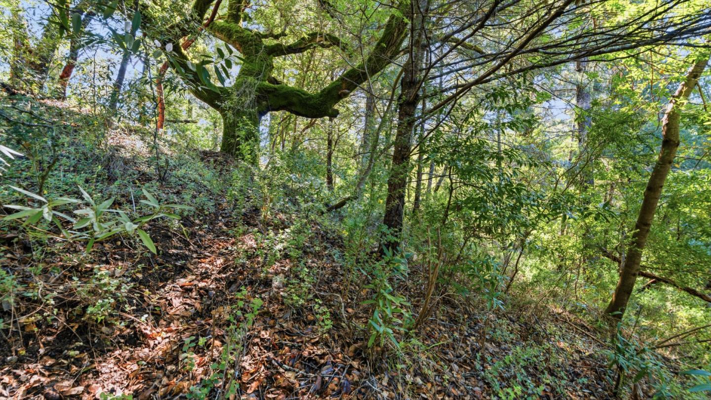 360 Rincon Way Boulder Creek, CA 95006 - Photo 26 of 46