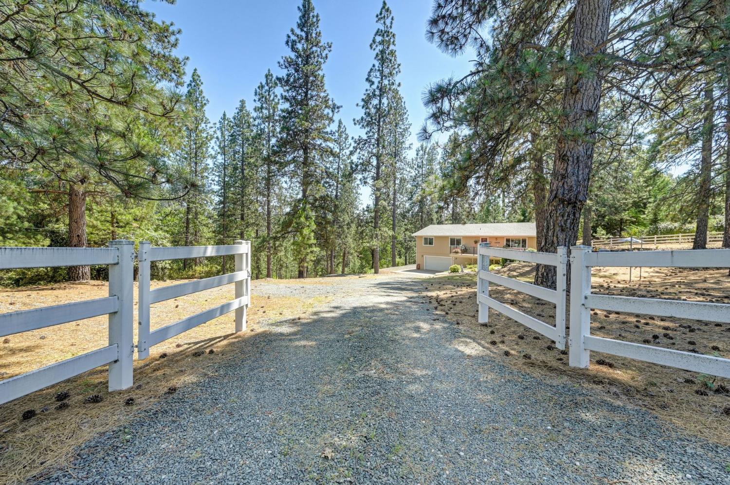 1205 Tokayana Ranch Lane Colfax, CA 95713 - Photo 26 of 60