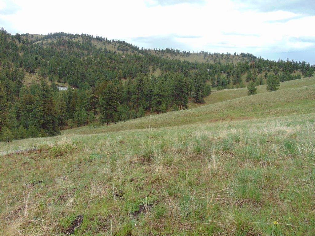 Tbd Shady Spring Lane Cascade, MT 59421 - Photo 35 of 78 Gallery Image 35