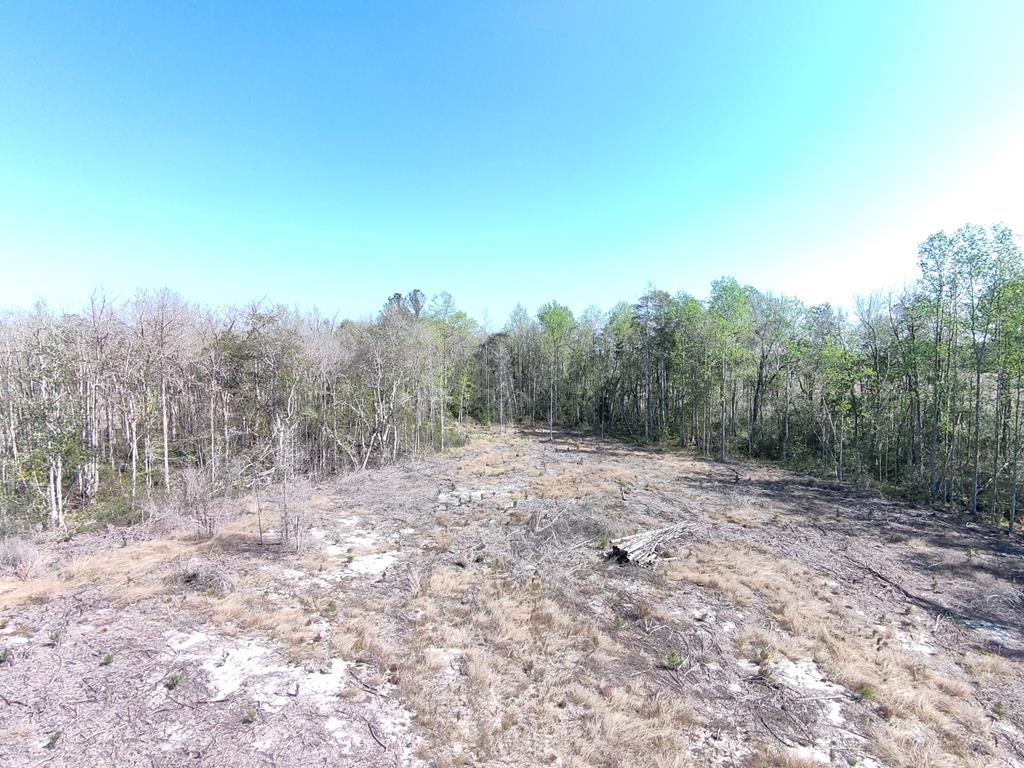 87 Highway 87 Samson, AL 36477 - Photo 18 of 47