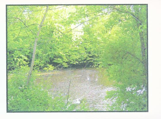 0 Columbus Road Penhook, VA 24137 - Photo 1 of 2 Land