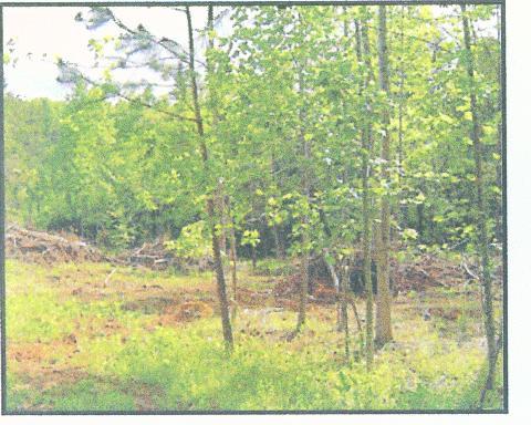 0 Columbus Road Penhook, VA 24137 - Photo 2 of 2 Land