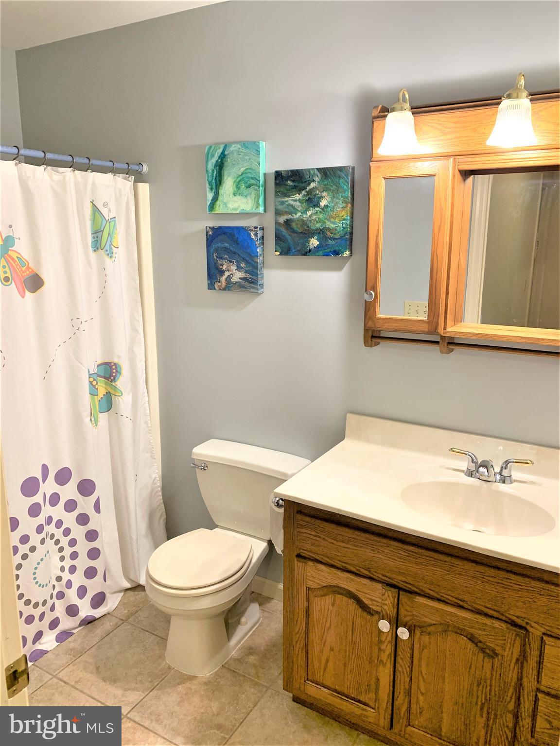 2618 Chestnut Road Elizabethtown, PA 17022 - Photo 47 of 69 Gallery Image 47