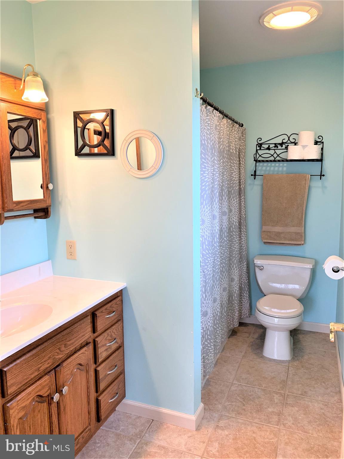 2618 Chestnut Road Elizabethtown, PA 17022 - Photo 59 of 69 Gallery Image 59