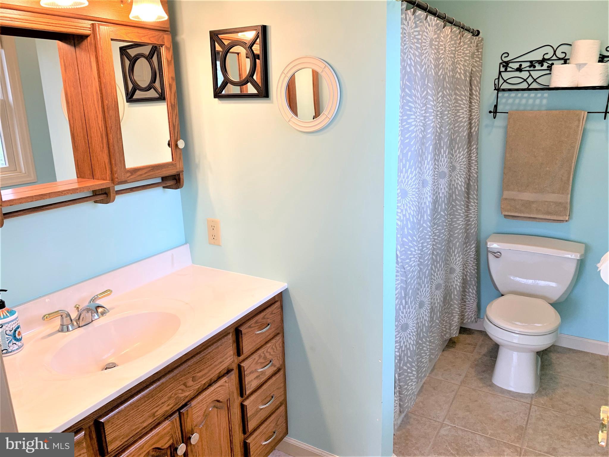 2618 Chestnut Road Elizabethtown, PA 17022 - Photo 60 of 69 Gallery Image 60