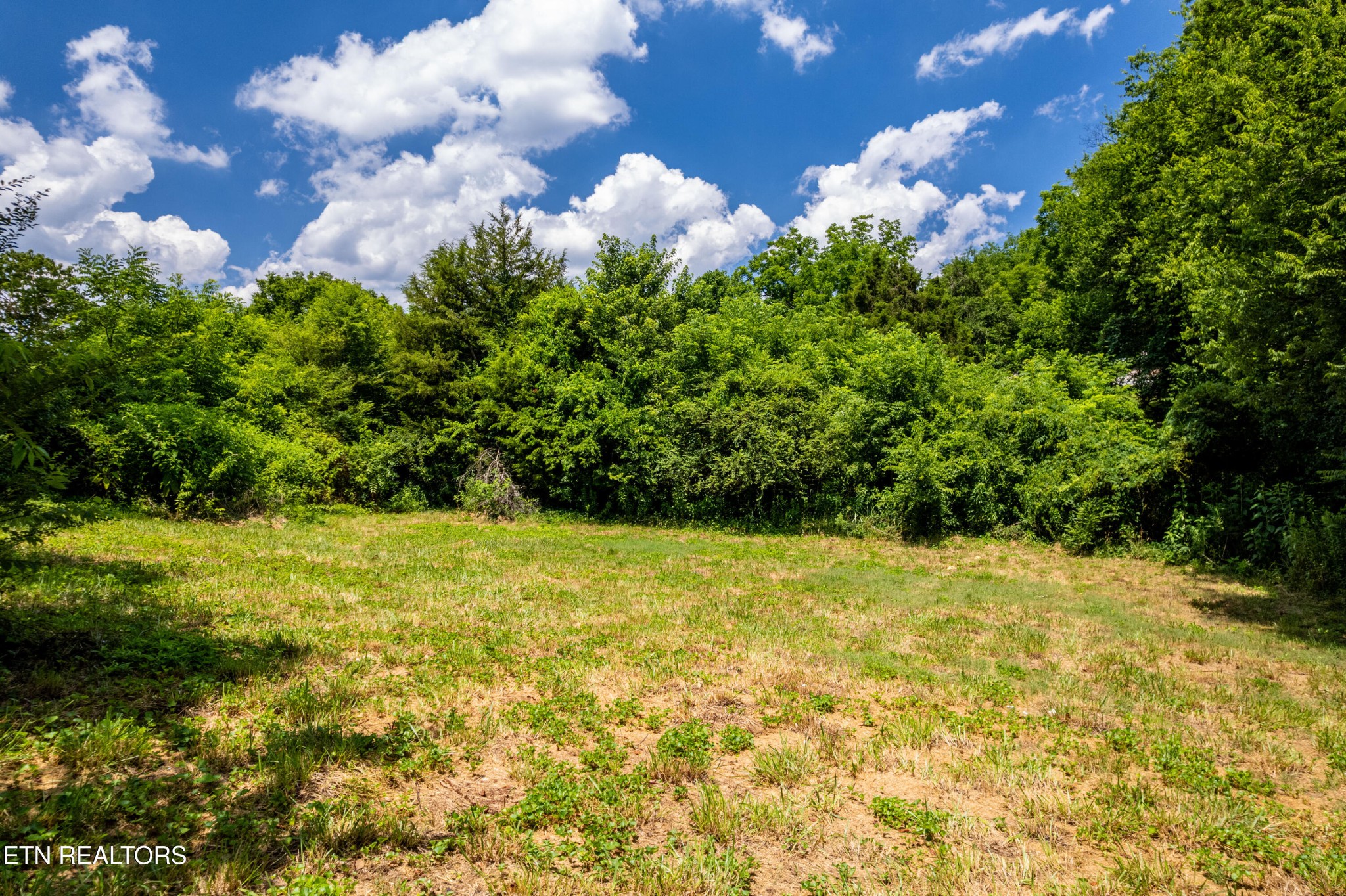 322 Abrams Road Rockford, TN 37853 - Photo 17 of 20