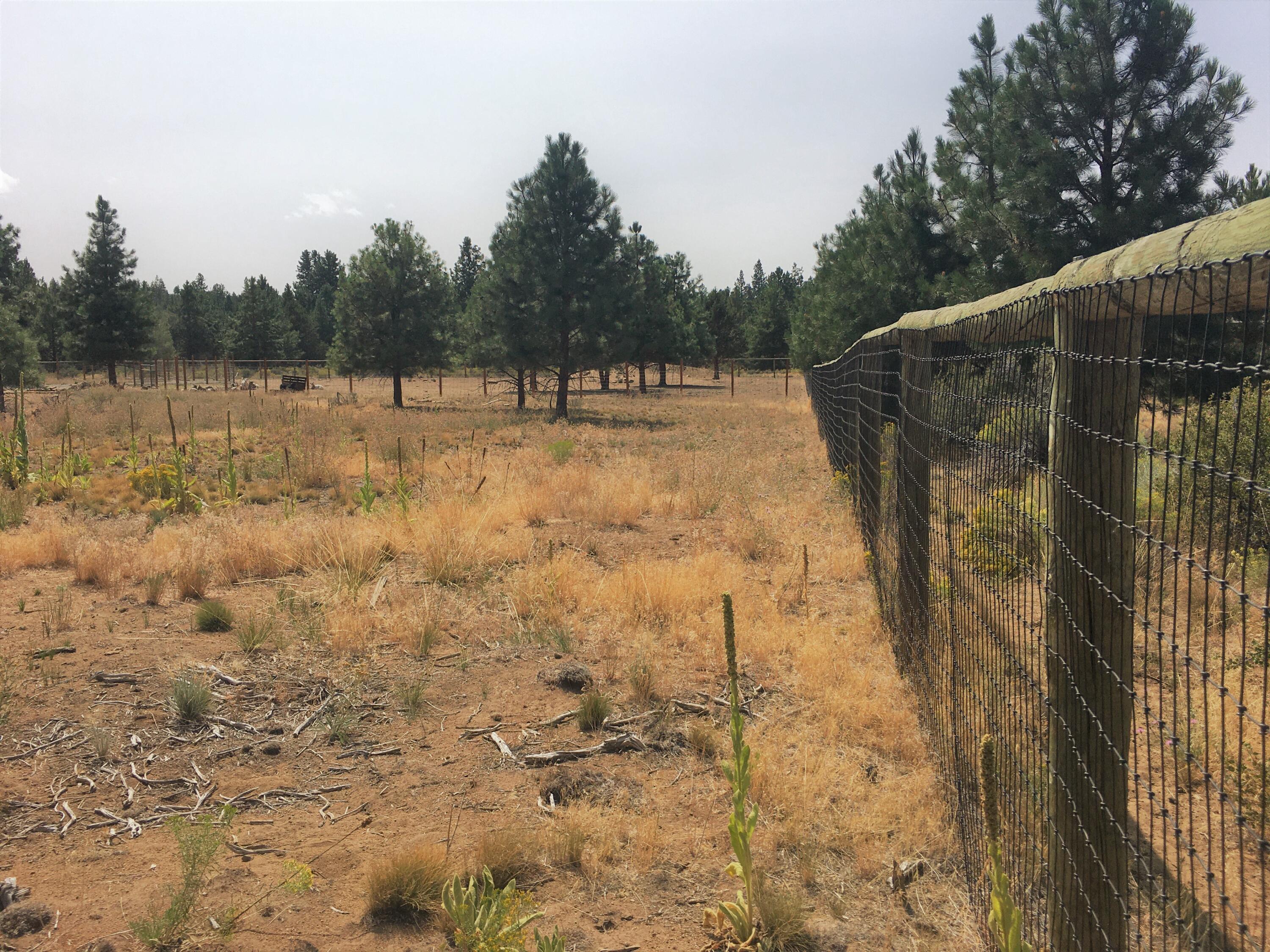 19166 Buck Canyon Road Bend, OR 97702 - Photo 59 of 63 Back yard fully fenced