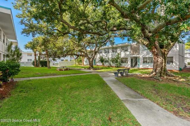 a view of a park with large trees