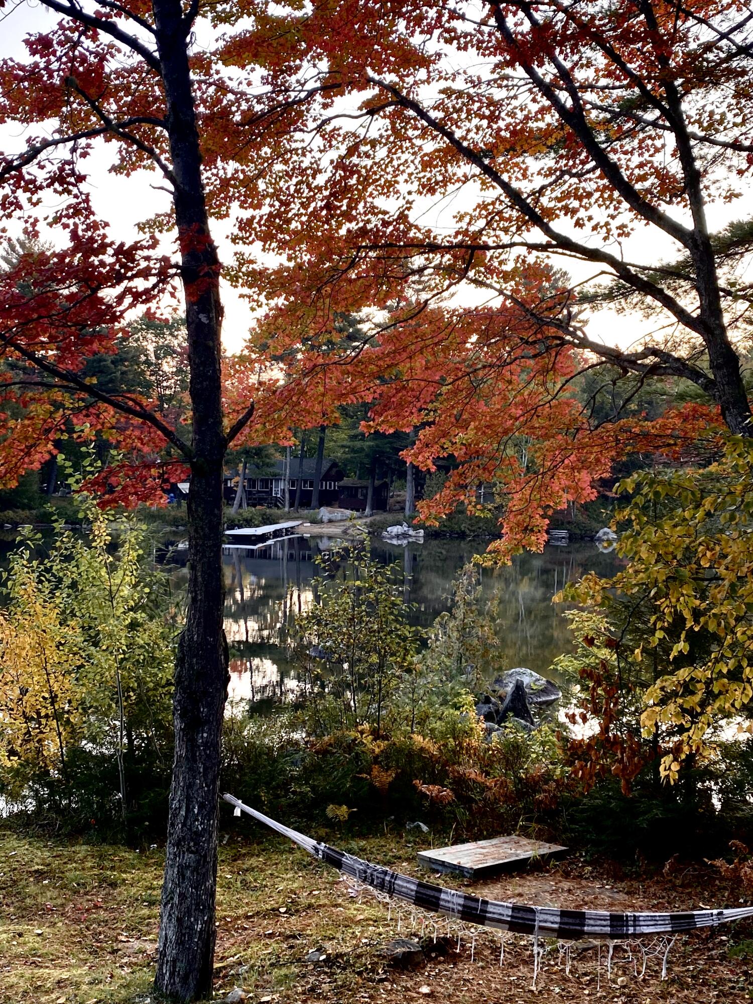 178 Blackcat Road Millinocket, ME 04462 - Photo 15 of 52 IMG_0049